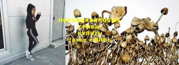 jwh Касимов